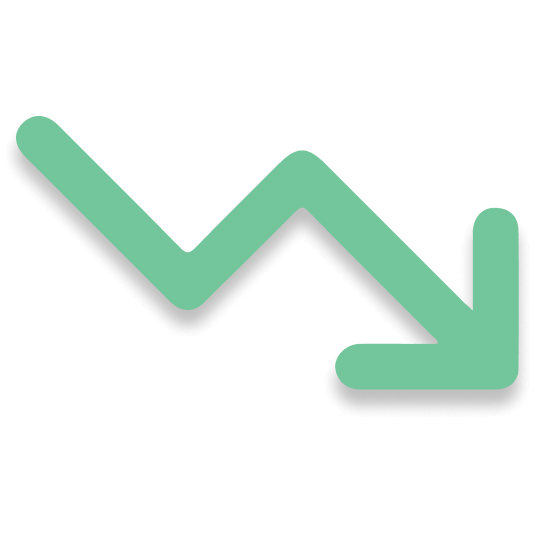 Behavioral Risk Reduction Icon